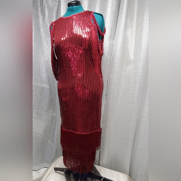 Sequin Fringe Red Party Dress Tassels 1920s Flapper Elegant Red Sequin Dress - Picture 9 of 11